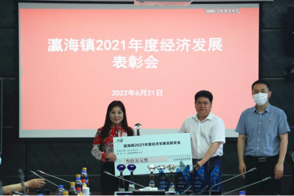 助力經(jīng)濟發(fā)展，美巢集團股份公司獲瀛海鎮(zhèn)經(jīng)濟發(fā)展三項大獎