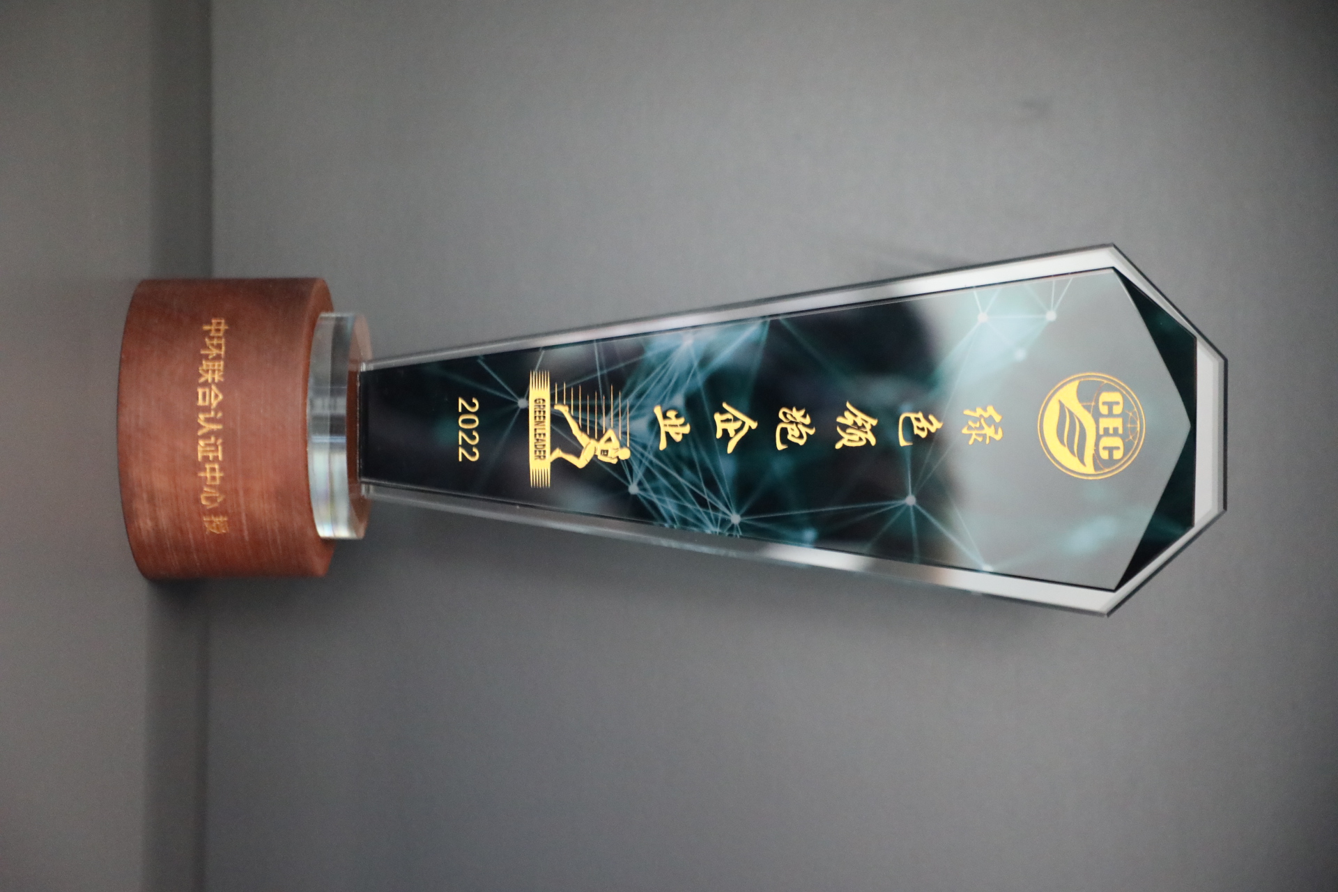 美巢深耕家裝環(huán)保輔料賽道，榮獲“綠色領(lǐng)跑企業(yè)”稱號(hào)